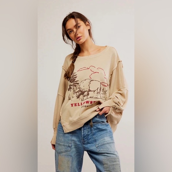 🆕FREE PEOPLE YELLOWSTONE We The Free Graphic Camden Pullover-Size Small - Picture 5 of 15